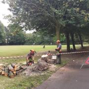 A fallen tree being removed from Gosforth Central Park in Newcastle, more than six months after it fell during Storm Malik. Photo: Urban Green Newcastle. Free to reuse for all LDR partners.