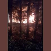Fire can be seen through the trees at a caravan storage facility in West Auckland, County Durham. Picture/video: Andy Kitch
