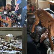 Mastiff, Rocco, and lurcher, Smudge, were both found living among household waste, scrap bikes and dog faeces, and were both malnourished when they were found by RSPCA inspectors. Picture: NORTHERN EHCO