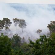 A large wildfire in woodland at Lickey Hills Country Park on the edge of Birmingham during a blazing summer which saw multiple such incidents across the UK