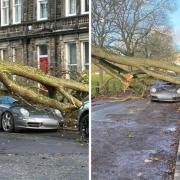 As the North East and North Yorkshire get hit with 75mph winds, which has caused schools to close, public transport to be affected, and roads to be impacted, a picture of a luxury Porsche has been circulated after it was crushed underneath a tree. 