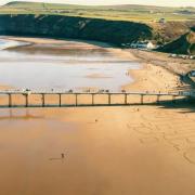 Saltburn beach, where thousands of dead sea creatures have washed up over the last 18 months. Campaigners are concerned that a cause has yet to be found.