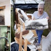 Jillian Herworth and husband Tom have slammed landlord Believe Housing after being left living with damp 'in every wall' of their home.