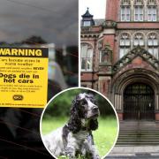 The RSPCA prosecuted professional dog walker Pam Fisher  at York Magistrates' Court, right, after she left a dog in a hot car. Inset, a cocker spaniel similar to the dog that died. Picture: Pixabay