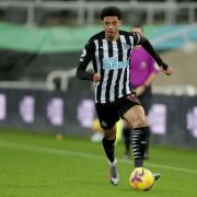 Jamal Lewis has struggled to get game time with Newcastle United