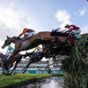 Noble Yeats safely negotiates the water jump en route to winning last year's Grand National at Aintree