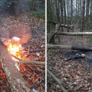 The fire in Beamish woodland