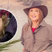 ITV's I'm a Celebrity... Get Me Out of Here! South Africa sees Gillian McKeith return to camp alongside Happy Monday star Shaun Ryder.