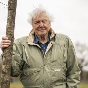 Sir David Attenborough will narrate Planet Earth III for the first time since 2016