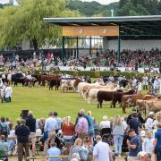 Have you got any plans to attend the Great Yorkshire show in July?