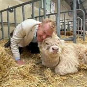 Adam Henson with Highland calf at Great Yorkshire Show