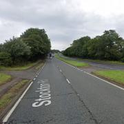 Those who were travelling on the A698 in Hartlepool, near the Greatham turn-off, reported seeing the dead animal, who was laid parlty in the left lane of the southbound carriageway
