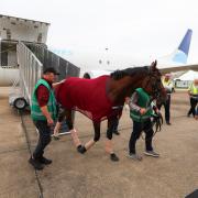 Paddington touches down at Teeside International Airport, ahead of today's Juddmonte International at York Racecource