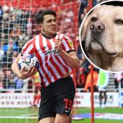 Sunderland FC captain Luke O'Nien reportedly rescued a Labrador by performing CPR on the canine at a Sunderland beach last night (August 24) Credit: PIXABAY, IAN HORROCKS