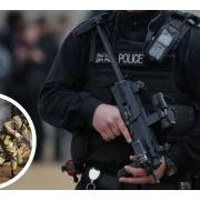 Scotland Yard requested military support for counter-terrorism duties if armed officers are unavailable.