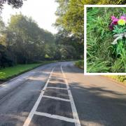 Floral tributes left on the A61 in Ripon