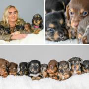 Winnie's owner Rayma Jones, 23, has revealed that she plans to sell the puppies but hasn't set a price yet.