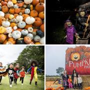 Catering for all ages, The Northern Echo has put together events and attractions that will be opening this weekend in County Durham