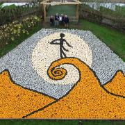 Sunnyfields Farm now holds a Guinness World Record thanks to its Halloween pumpkin display