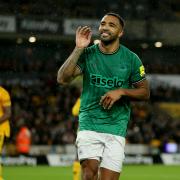 Callum Wilson celebrates after scoring in Newcastle United's draw with Wolves