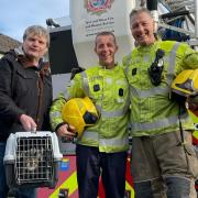 A retiring firefighter’s final job was such a cliché he thought it was a prank – saving a cat from a free. Pictured: Micky Longstaff (R-L)) with colleague Lee Chape, the cat and its owner.
