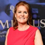 Will you be tuning into This Morning on ITV1 on Monday (November 20) to see Sarah, Duchess of York co-host?