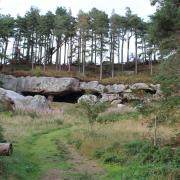 St Cuthbert's Cave is said to be linked to the famous Northumbrian monk. Legend has it he stayed here as a hermit, or it could be that his remains were brought here as a resting place