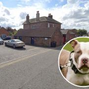 The incident happened on Three Tuns Wynd in Stokesley between 2.30pm and 3pm on Friday, December 22, 2023, and saw the dog bite the man's arm