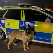 Police dog Kuro and PC Whitehouse responded to a report of theft at the One Stop on Birkdale Road in Hartburn, Stockton Credit: CLEVELAND POLICE