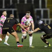 Newcastle Falcons' Callum Chick tries to break through the Montpellier defence