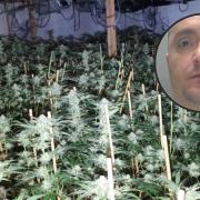 Albanian national Emiliano Lamaj was caught tending large-scale cannabis cultivation operation in end terraced house in Ferryhill, last month