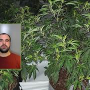 Kleon Zeneli jailed for 14 months for the cultivation of 50 cannabis plants at a rented property in Bowburn, near Durham