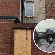 RSPCA rescues cat trapped in boarded-up Hartlepool house for two weeks