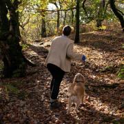 Do you know of any hidden gem dog-friendly walks in the North East?