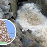 The data published by the Environment Agency (EA) reveal there were 46,492 sewage spills from monitored storm overflows in the Northumbrian Water area in 2023