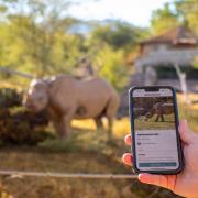 The Living Desert Zoo and Gardens in California has launched the app