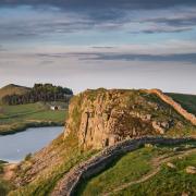 The distance of this walk along Hadrian's Wall is 4¼ miles but can be shortened by catching a local bus
