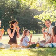 From Durham, Darlington, Hartlepool and beyond, there are many parks to visit for a picnic
