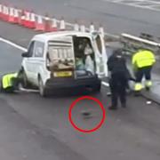 Workers attempt to round up the ducks walking around  on the A19.