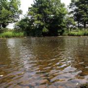 River Ure at Masham
