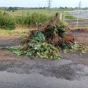 Garden waste was fly-tipped on land near Greenfields Road