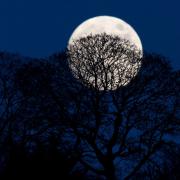 This is when the Super Flower Moon will rise in the UK - it's soon