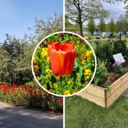 Have you booked your tickets to the Harrogate Flower Show in September this year?