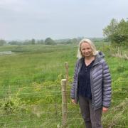 Anne Gladwin, project manager of Links with Nature,  at one of the sites - Elemore Country Park