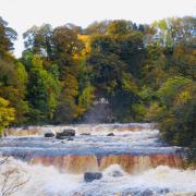 The Stop Ure Pollution (SUP) group has highlighted the 'worrying trend' at Aysgarth Falls, which is popular with tourists and visitors every year