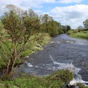 Yorkshire Water has paid £350,000 to the Yorkshire Dales Rivers Trust following an unauthorised sewage discharge into the River Ure at Leyburn.