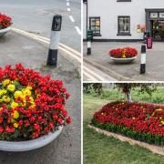 Middletons in Bloom, in Middleton St George, near Darlington, were told that they must take out several flower planters and pots by Darlington Borough Council