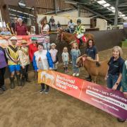 Acer, the Shetland pony, meets Ballyben, the racehorse at the Unicorn Centre