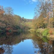 Hosepipe bans in Yorkshire could end 'in the next few weeks'.