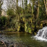 Whorlton Beck